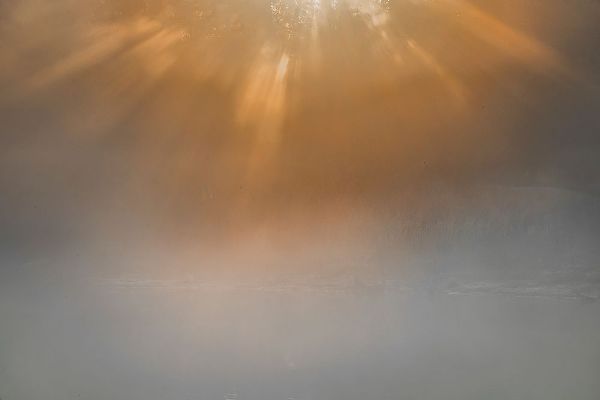 Jaynes Gallery 아티스트의 USA-New Jersey-Cape May National Seashore Sunrise beams on foggy ocean작품입니다.